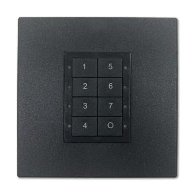 DIGIDIM panel 2-button black